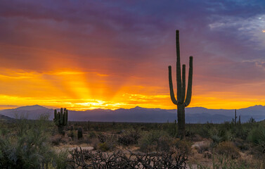 Orange Desert Sunrise Skies In North Scottsdale AZ