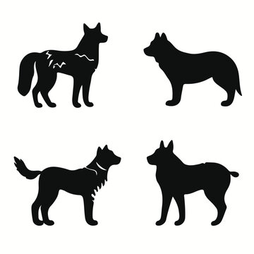 Ainu Dog silhouettes and icons. Black flat color simple elegant Ainu Dog animal vector and illustration.