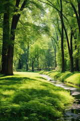 Fototapeta premium Beautiful fairy tale enchanted forest, magical fantasy scenery with big trees and greenery.