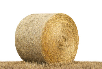  dryround bale isolated on white background