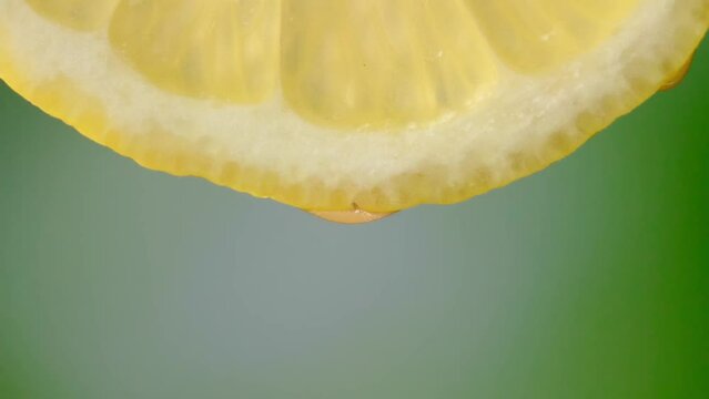 Drops of juice or water close-up from slice of ripe lemon. Concept of fresh vegetables and fruits. lemon with macro dripping clear juice on green background. Slow motion