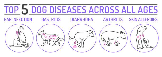 Top five dog diseases. Horizontal medical poster.