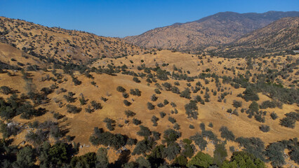 Sequoia National Forest near Lake Isabella, Kern County, California