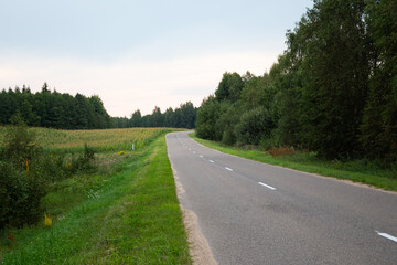 country road in a field on a summer day