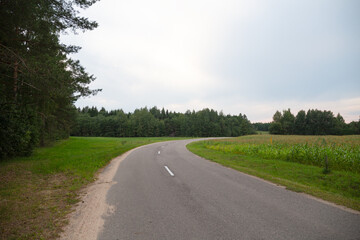 Fototapeta premium country road in a field on a summer day