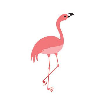 Pink Flamingo Cartoon Illustration Isolated In White Background. Summer Animal Illustration