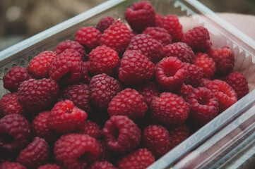 Selection of raspberry in plastic crates. Top view.