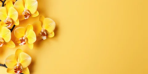 Fotobehang Yellow lily flowers on yellow background, space for text or product. Generative AI © 22_monkeyzzz