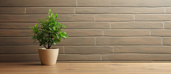 A small tree in a green cup on a wooden table next to a beige brick wall