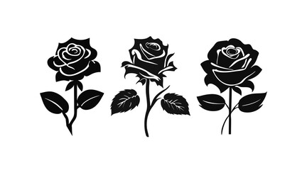 Set of black roses silhouette drawing isolated on white background