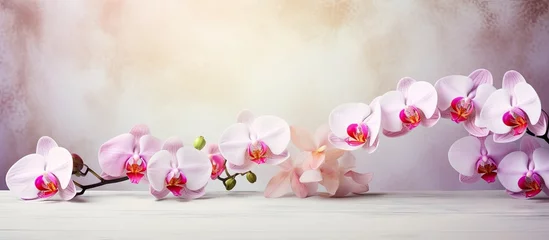 Rolgordijnen White and pink orchids used to create a stunning flower arrangement © HN Works