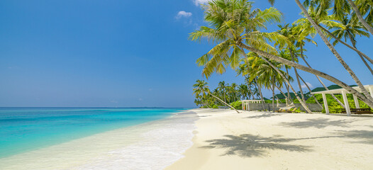 Best travel landscape. Paradise beach tropical island background beautiful palm trees, closeup sea...