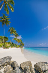 Beautiful tropical beach at exotic island with coconut palm trees and rocks breakwater. Tranquil relaxation landscape blue sky sea closeup sand. Idyllic inspire vacation background. Paradise wallpaper