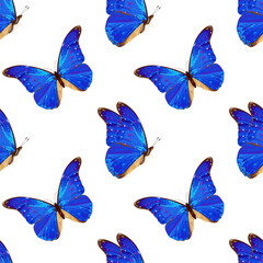 Seamless pattern with blue butterfly. Tropical insect. Neon colors.