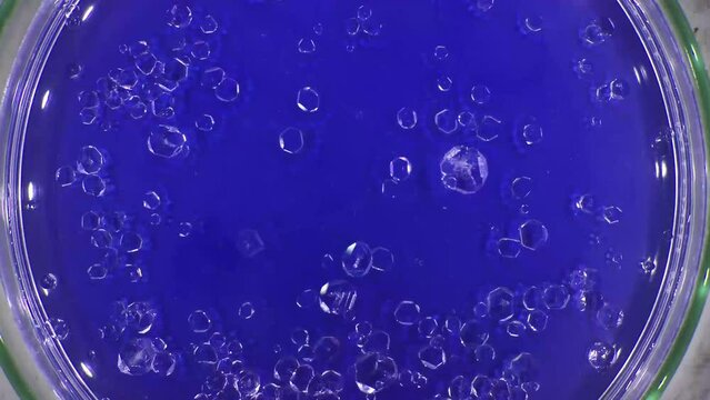 timelapse of the growth of crystals of a chemical from an water solution