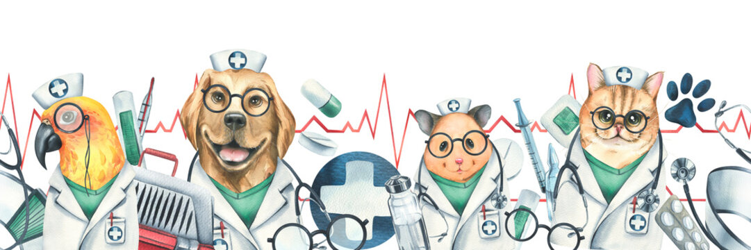 Veterinary doctors hamster, dog, cat, parrot, pet carrier, medicines. Watercolor illustration, hand drawn Seamless border on white background