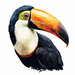 toucan on a black background