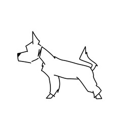 Figure haircut Yorkshire Terrier. Vector image of a standing dog.