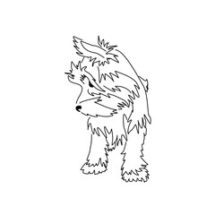 Yorkshire Terrier puppy looking interested. Vector linear drawing of a small standing dog.