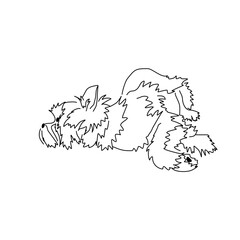 Vector drawing of a Yorkshire Terrier puppy. A sketch of a lying little dog