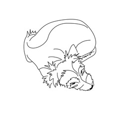 Vector drawing of a Yorkshire Terrier puppy. A sketch of a lying little dog