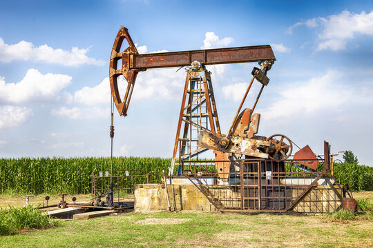 Kukuruz Bilder Durchsuchen 792 Archivfotos, und Videos