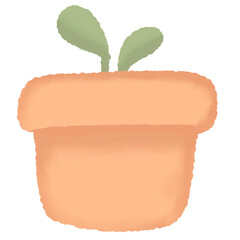 plant in a pot