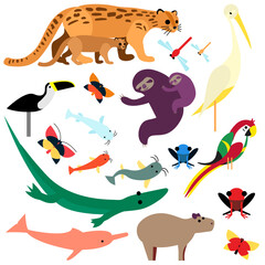 A Collection of Cute and Colorful Tropical Animals for Children from south America, Tigrillo, dragonflies, heron, toucan, butterflies, sloths, fish, frogs, parrot, caiman, pink dolphin and capybara