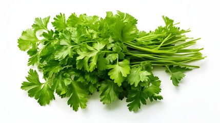 Parsley on white background