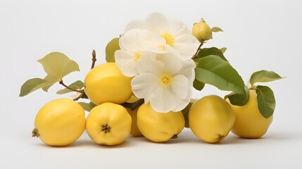 Quince on white background