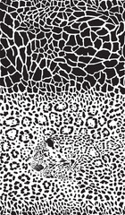 Giraffe and leopard seamless background