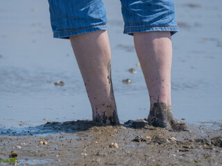 Beine eines Mannes mit Jeansbermuda stehen im Wattenmeer