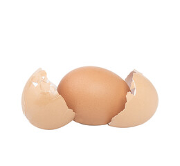 an egg with a broken double shell