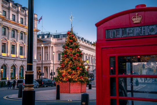 Christmas scene outdoors in London, with decorated tree and red colourful holiday lights on the street