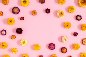 Naklejka premium Flowers autumn composition. Floral background pattern. Flat lay, top view of beautiful multi-colored dry flowers on pastel pink background