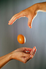 Chicken egg falling down. Trust and confidence concept