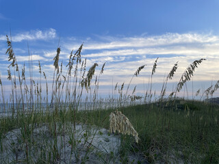 Sea Oats Sunset