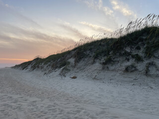 Sea Oats Sunset