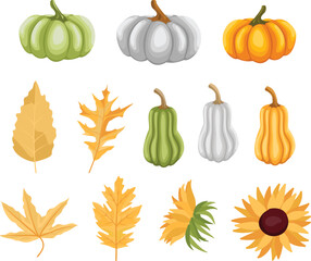 Collection of autumn pumpkins, sunflowers and leaves.
