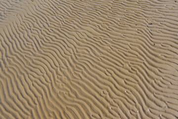 Sea sand forms a mosaic of small waves