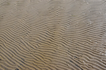 Sea sand forms a mosaic of small waves