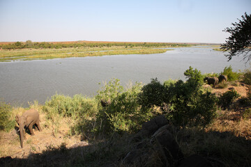 Krüger Park - Afrikanischer Busch – Letaba River / Kruger Park - African bush – Letaba River /