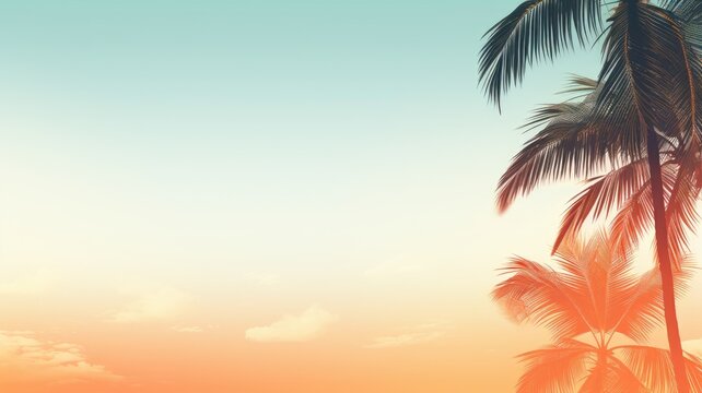 Palm tree, sky. Web banner with copy space