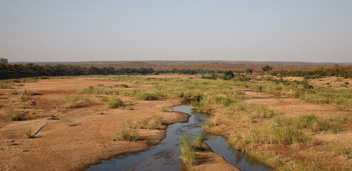 	 Krüger Park - Afrikanischer Busch - Letaba River / Kruger Park - African bush - Letaba River /