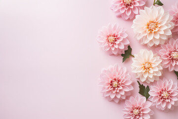 Fototapeta na wymiar Beautiful Dahlia flowers on side of pastel pink background