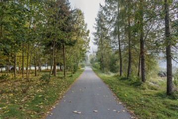 Fototapeta premium Alley in Sromowce Nizne at foggy morning