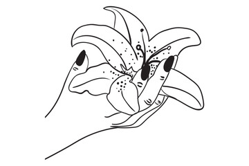 Hand Holding Flowers Svg, Floral woman svg, Holding bouquet Svg, Floral hand Svg, Flower Svg, Wildflower Svg, Nature Inspired, Botanical Illustration, Floral Design, Flower Bouquet, Garden Theme, Wild