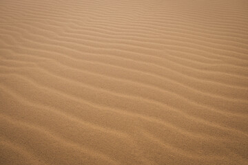 Fototapeta na wymiar Sand on the Sarykum dune in Dagestan