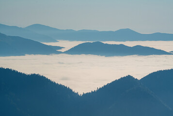 Obraz premium Pine forests and cloud sea in Turkey