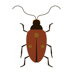 Isolated colored ladybug insect animal icon Vector